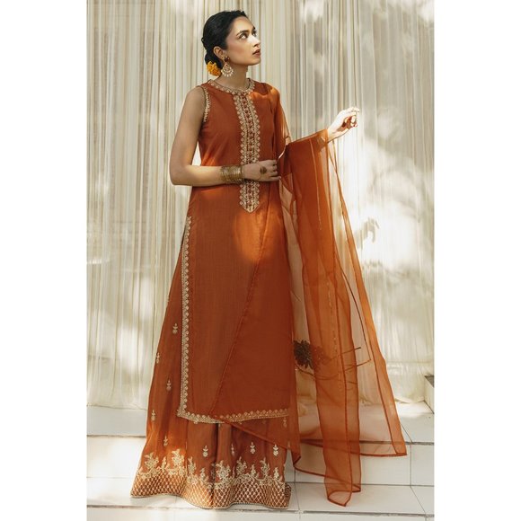 Handmade Dresses & Skirts - Punjabi Pakistani Gorgeous Rust Outfit: Three-Piece Set!